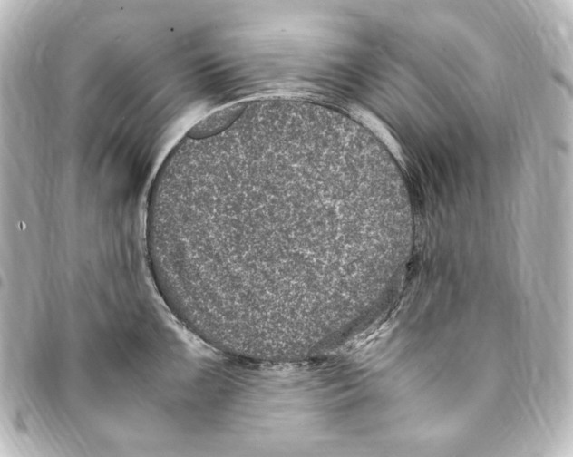 X0000094971099200712271737