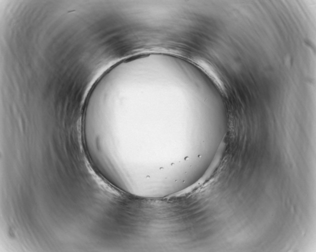 X0000094971100200712271737