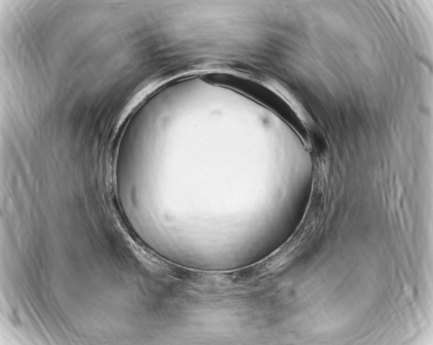 X0000094971101200712271737