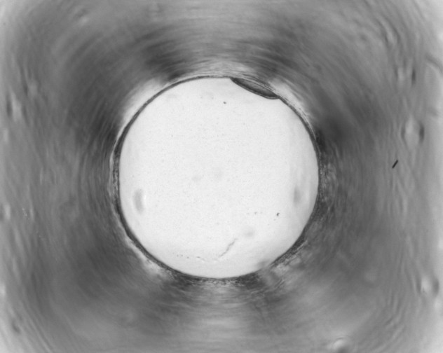 X0000094971103200712271737