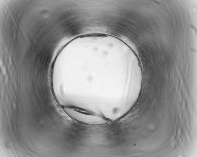 X0000094971104200712271737