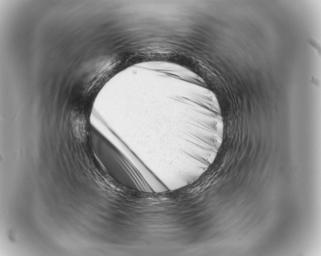 X0000094971108200712271736