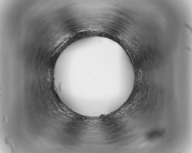 X0000094971110200712271736