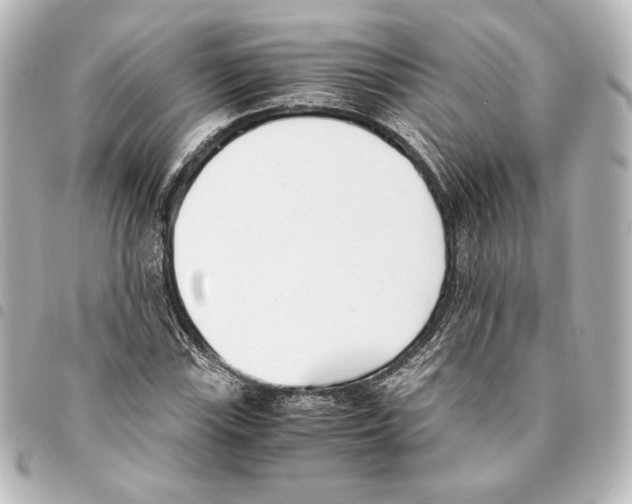 X0000094971115200712271736