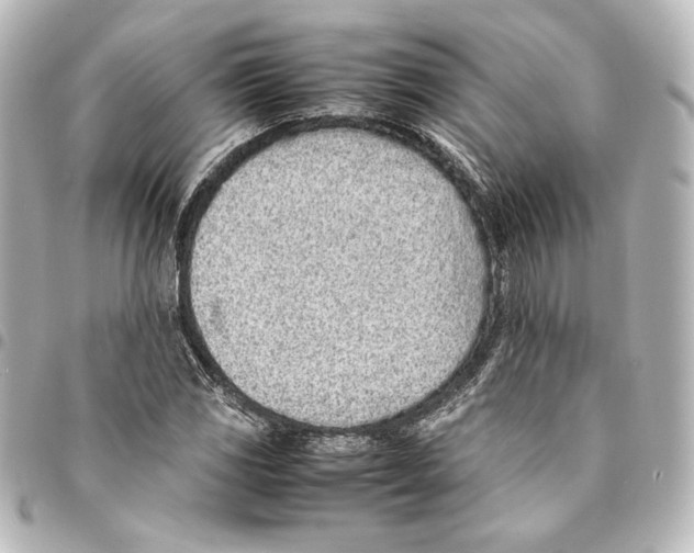 X0000094971117200712271736