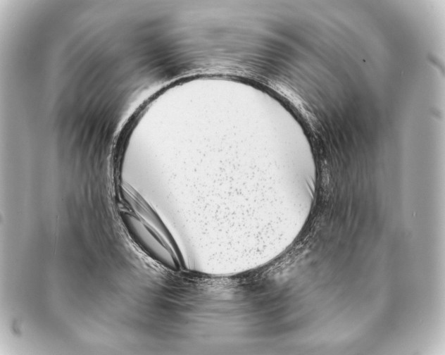 X0000094971120200712271736