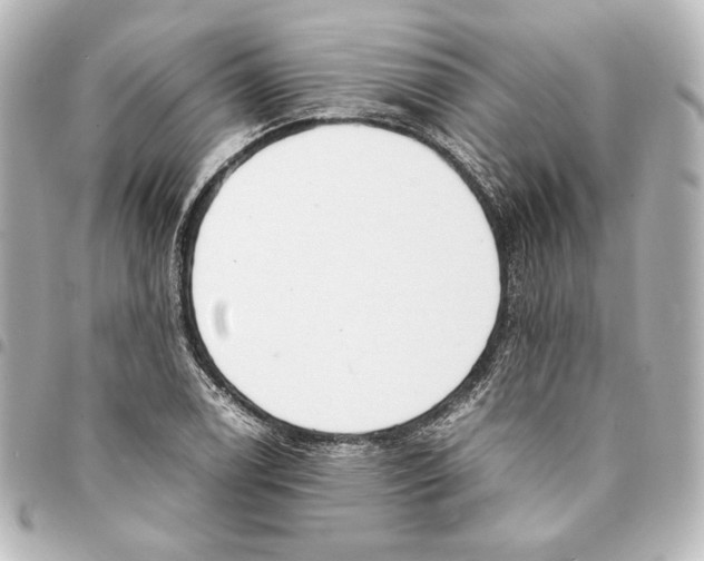 X0000094971122200712271736