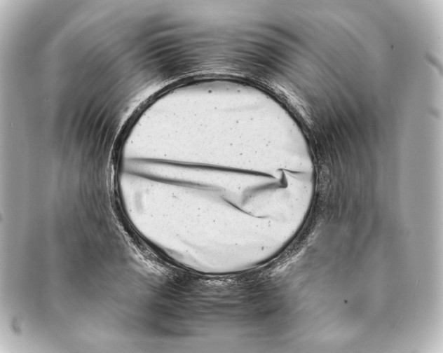 X0000094971125200712271736