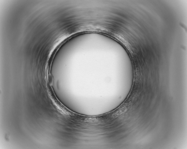 X0000094971128200712271736