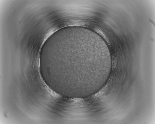 X0000094971130200712271736