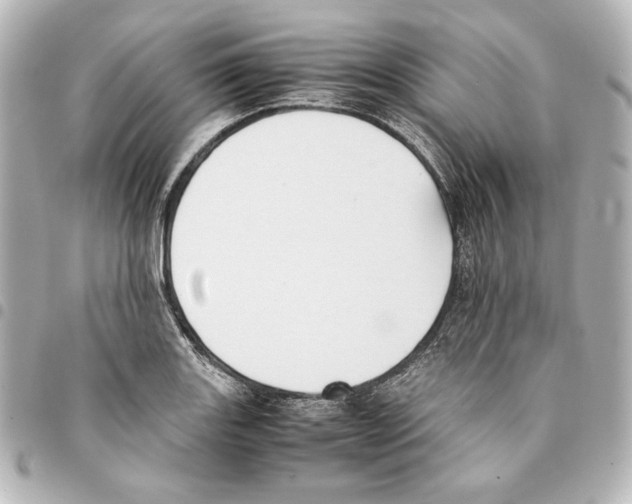 X0000094971131200712271736