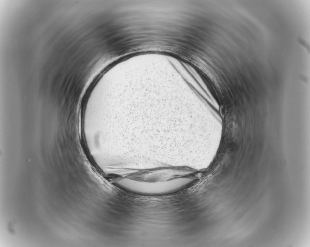 X0000094971132200712271736