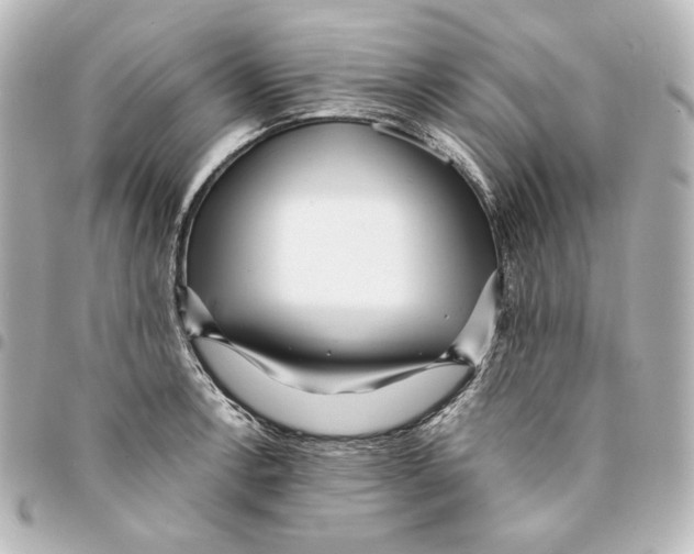 X0000094971138200712271736