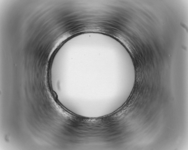 X0000094971139200712271736