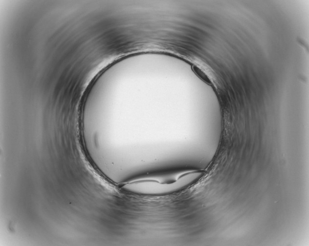 X0000094971142200712271736