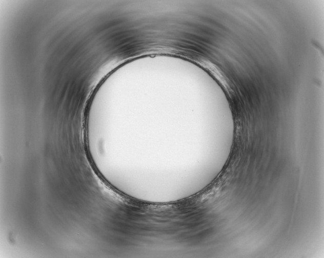 X0000094971143200712271736