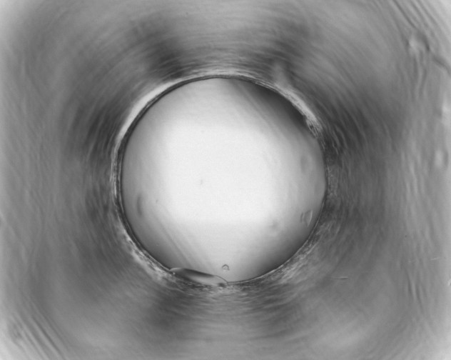 X0000094971148200712271736