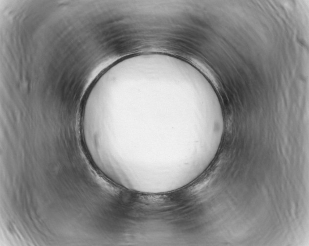 X0000094971149200712271736