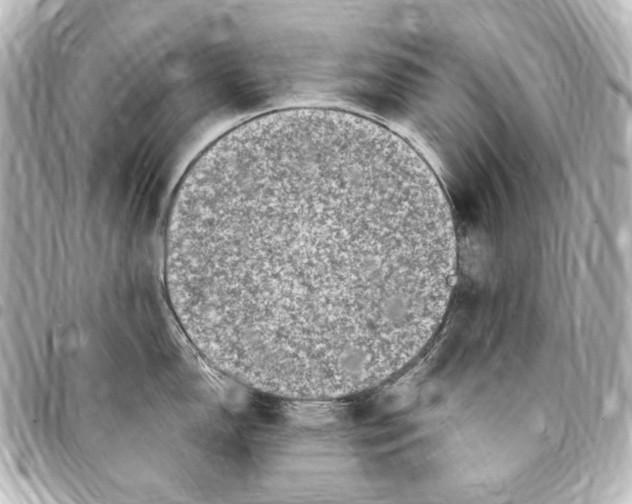 X0000094971150200712271736