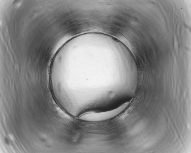 X0000094971151200712271736