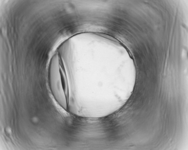 X0000094971152200712271737