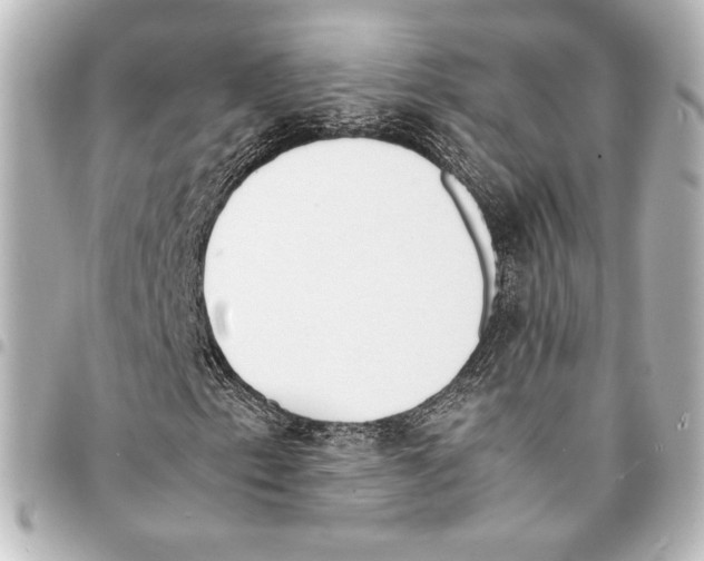 X0000094971153200712271736