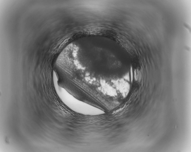 X0000094971155200712271736