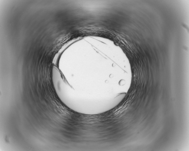 X0000094971156200712271736