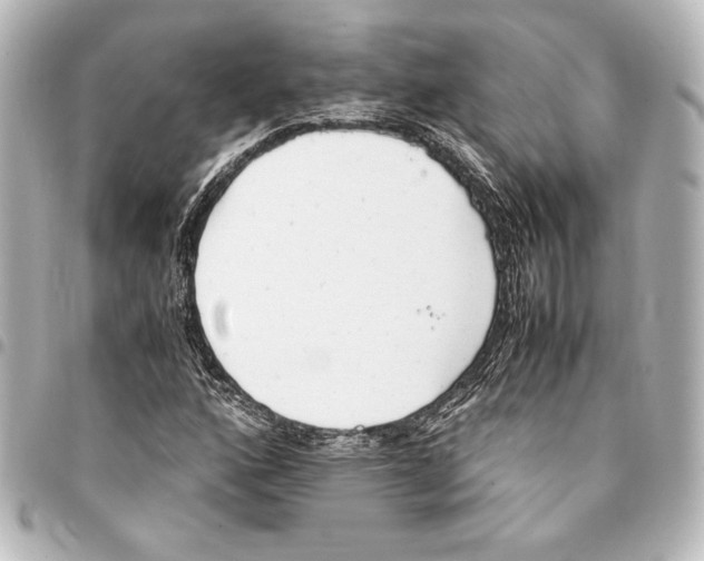 X0000094971160200712271736