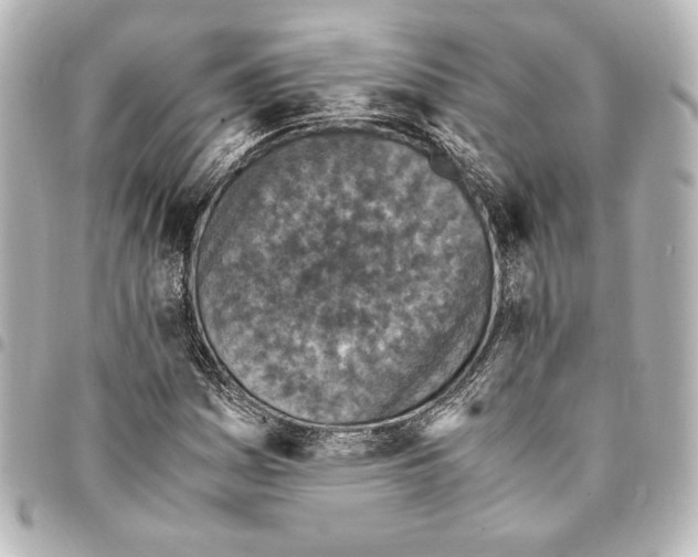 X0000094971161200712271736