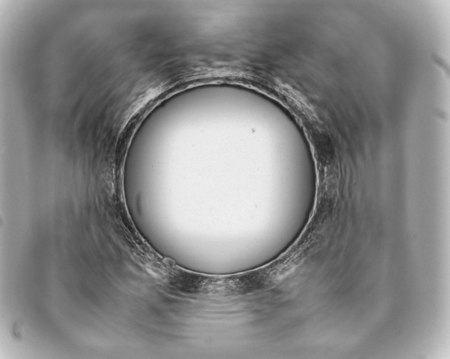 X0000094971165200712271736