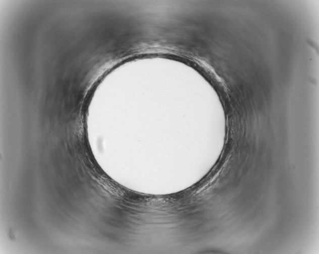 X0000094971167200712271735