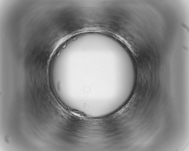 X0000094971168200712271735