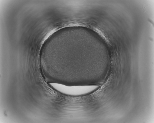 X0000094971173200712271735