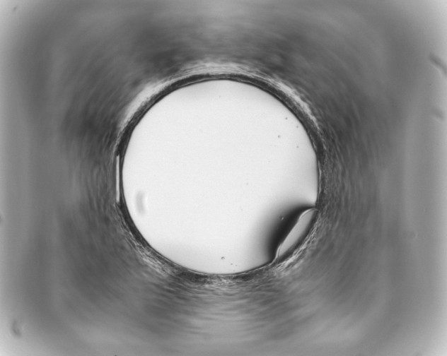 X0000094971175200712271735