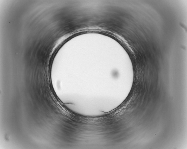 X0000094971176200712271735