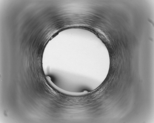 X0000094971177200712271735