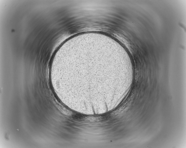 X0000094971179200712271735