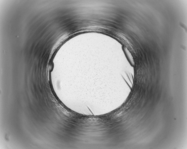 X0000094971180200712271735