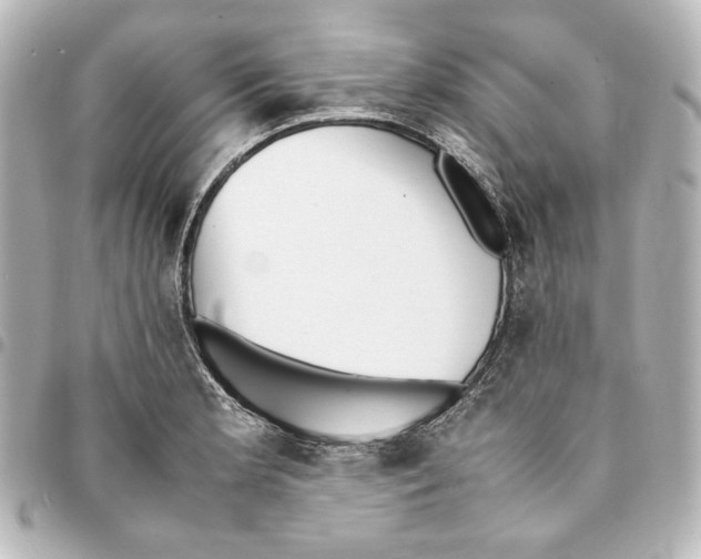 X0000094971181200712271735