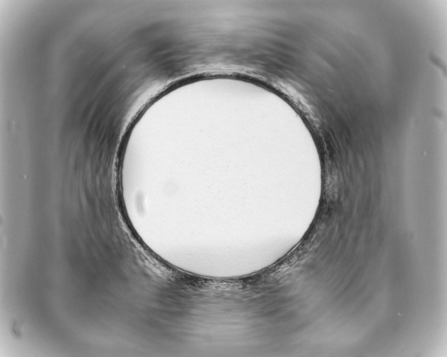 X0000094971183200712271735