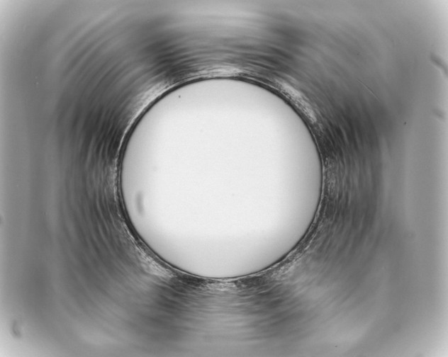 X0000094971186200712271735