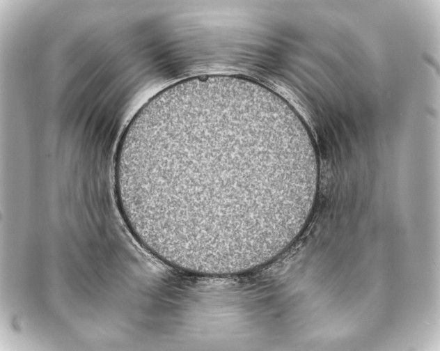 X0000094971187200712271735