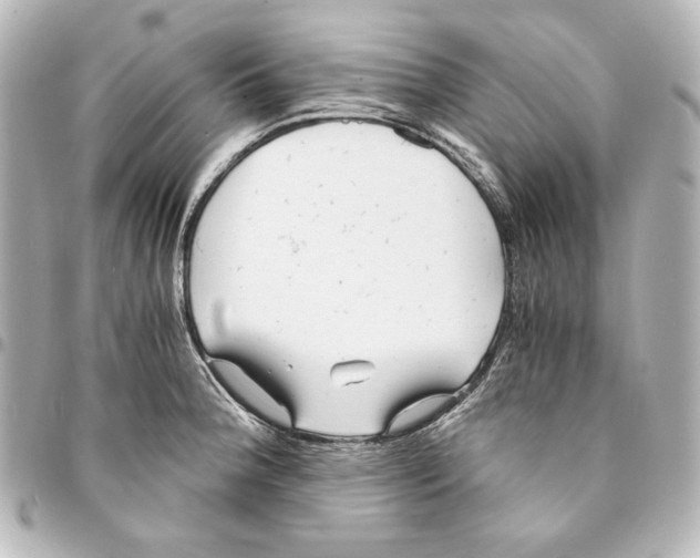 X0000094971188200712271735