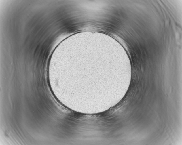 X0000094971195200712271735