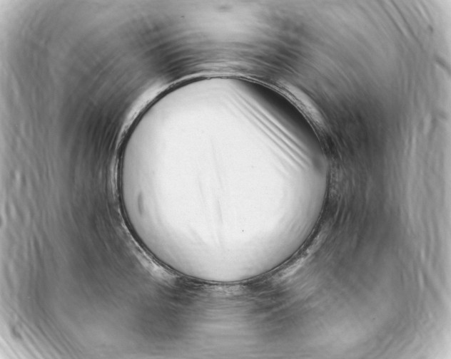 X0000094971196200712271735