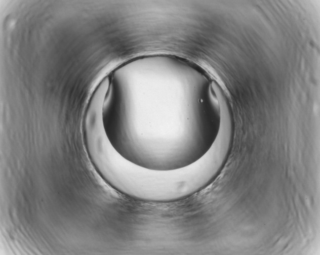 X0000094971197200712271735