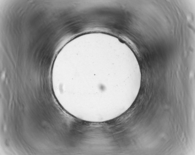 X0000094971199200712271735