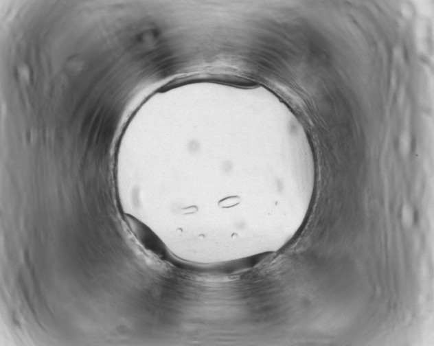 X0000094971200200712271735