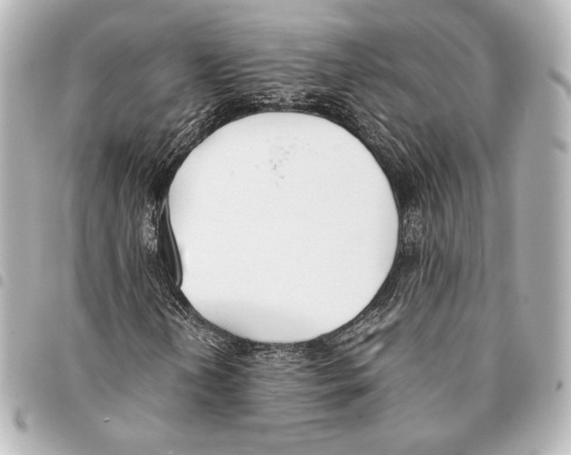 X0000094971202200712271734